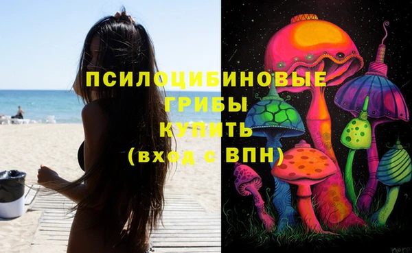 каннабис Каменногорск