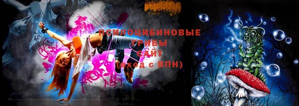кокаин Каменка
