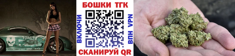 Купить  Петровск-Забайкальский  Канабис семена 